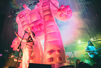 The Flaming Lips (2)