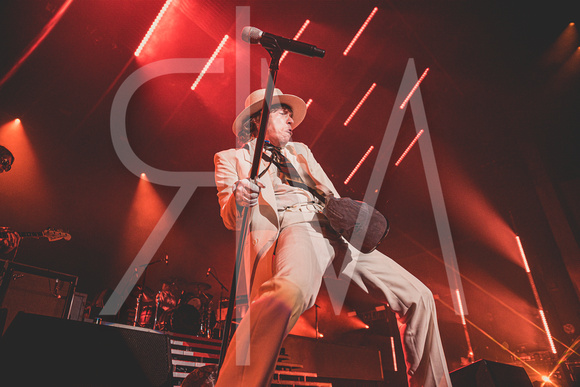 Cage The Elephant