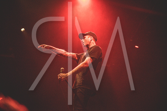 The Amity Affliction