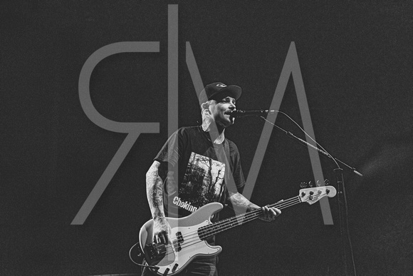 The Amity Affliction
